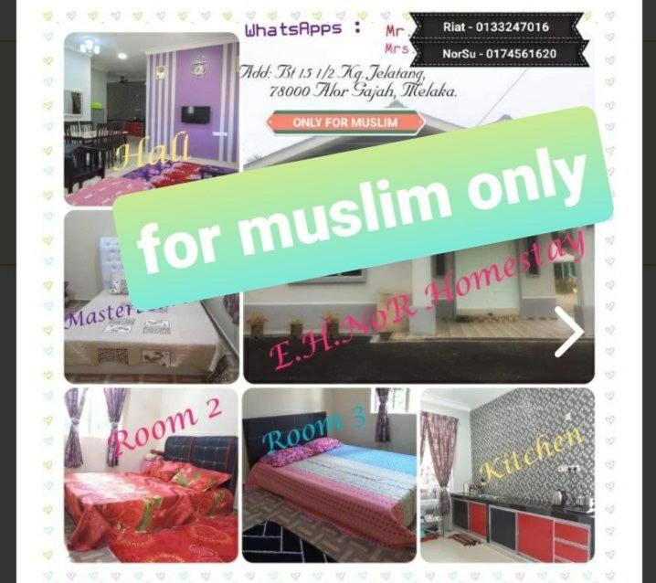 Nor Su Homestay ألور غاجا المظهر الخارجي الصورة